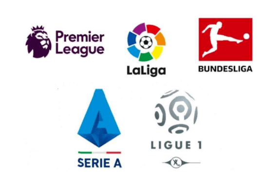 的定位各有 的定位各有